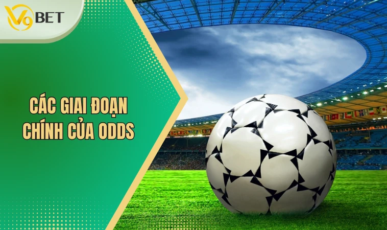 Các giai đoạn chính của Odds