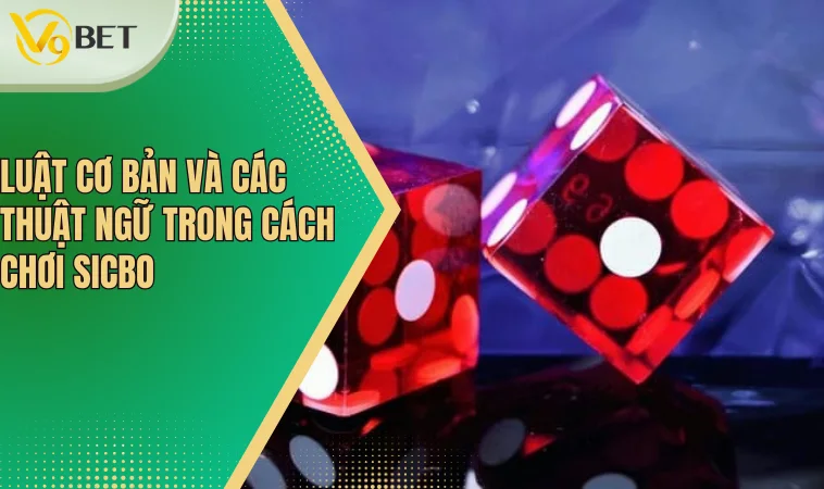 Cách Chơi Sicbo - Mẹo Hiệu Quả Và Tăng Cơ Hội Thắng 3 Luật cơ bản và các thuật ngữ trong cách chơi Sicbo