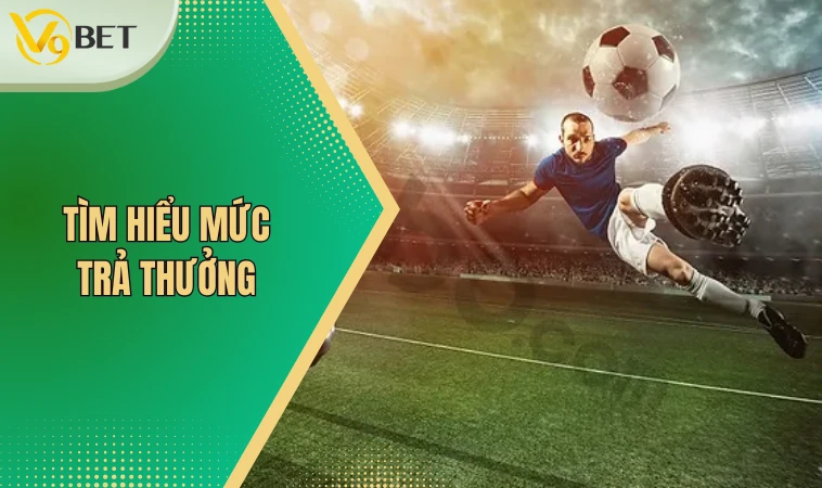 Tìm hiểu mức trả thưởng