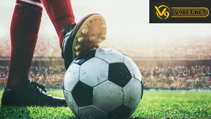 Lợi ích của việc hiểu rõ tỷ lệ kèo tài xỉu v9bet